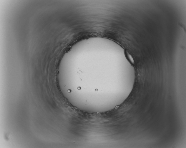 X0000103291057200809122002