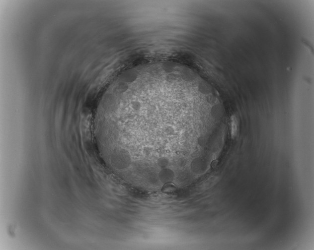 X0000103291059200809122002