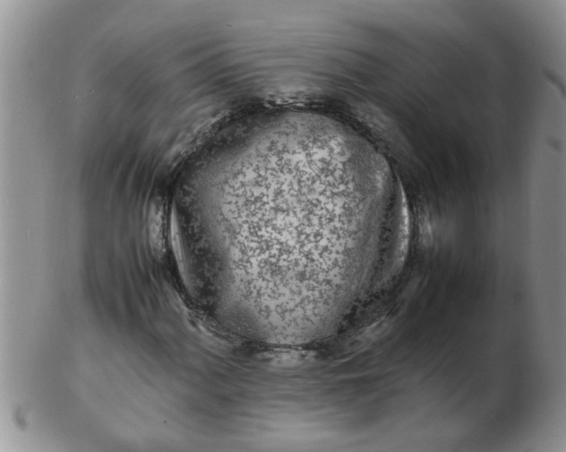 X0000103291060200809122002