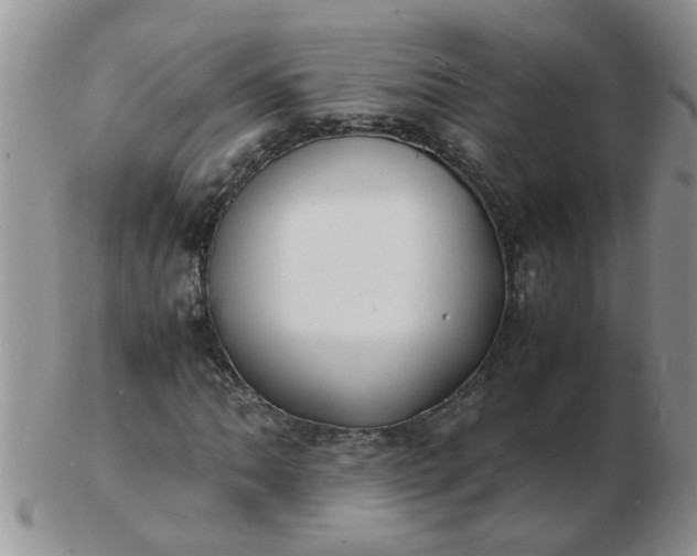 X0000103291062200809122002