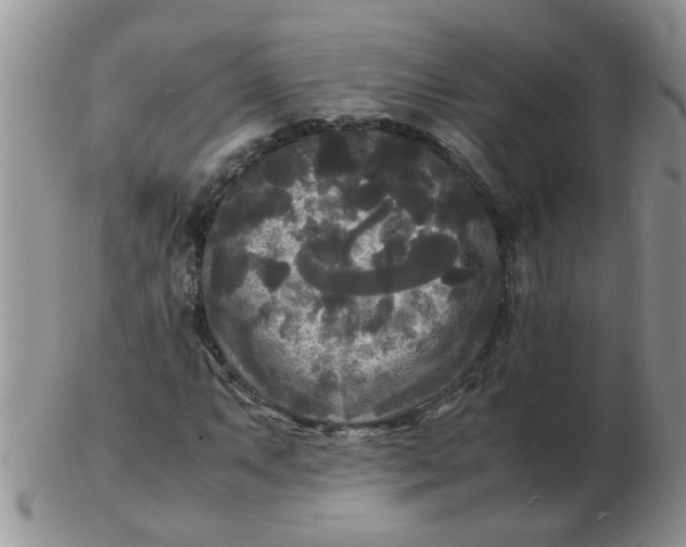 X0000103291063200809122002