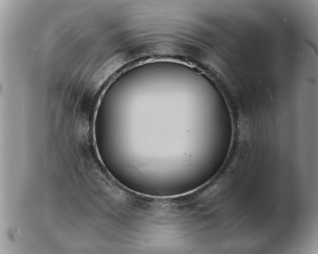 X0000103291065200809122002