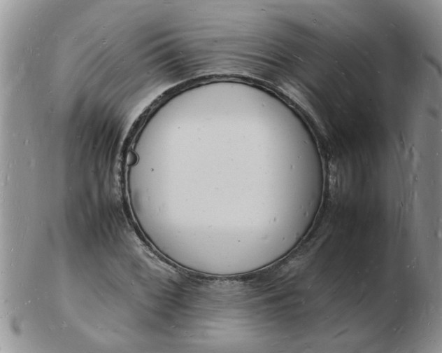 X0000103291068200809122002