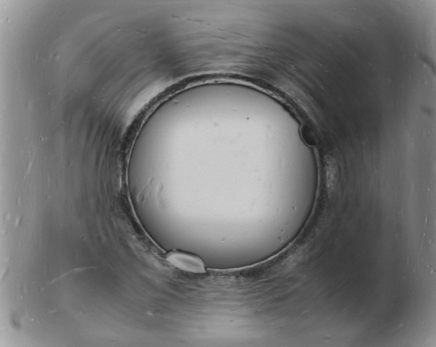 X0000103291069200809122002