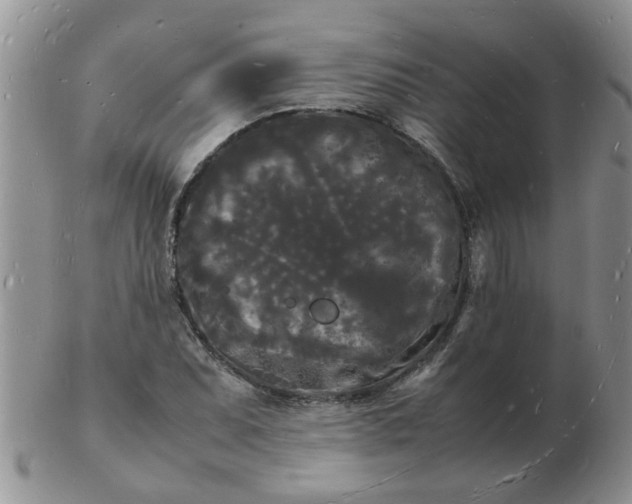 X0000103291071200809122002