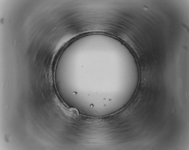 X0000103291072200809122002