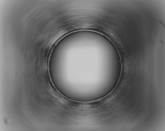 X0000103291073200809122002