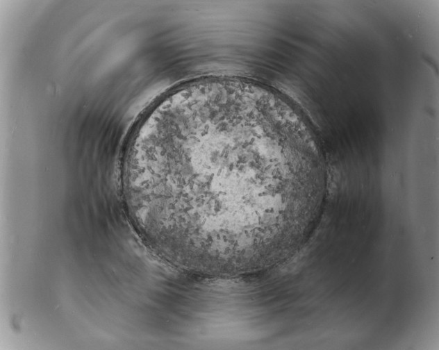 X0000103291074200809122002