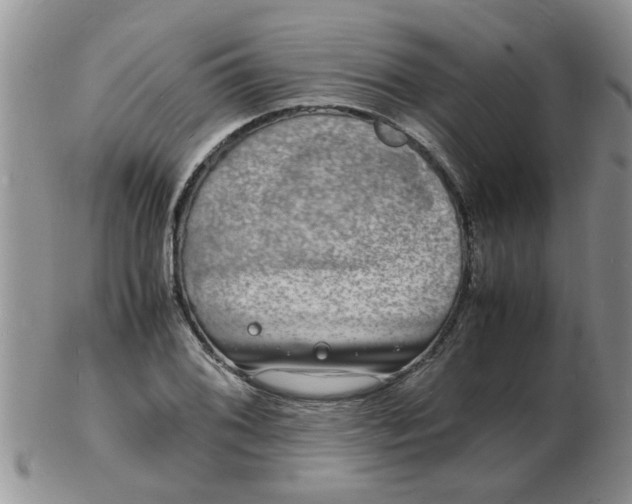 X0000103291076200809122002