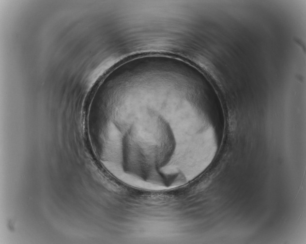 X0000103291077200809122002