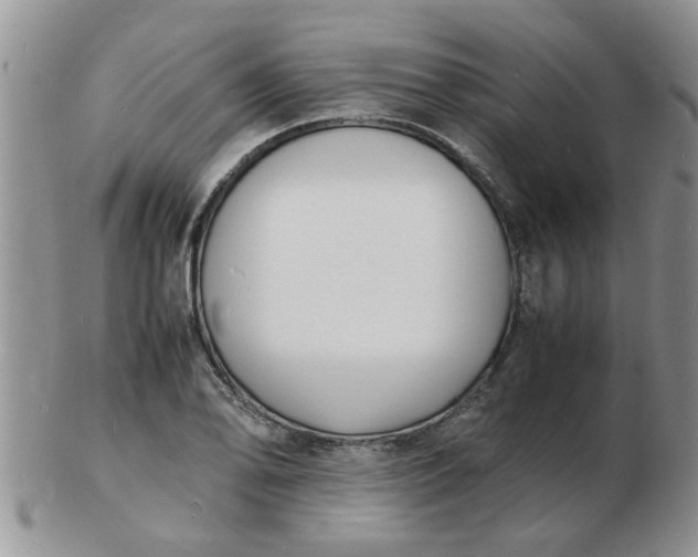 X0000103291078200809122002