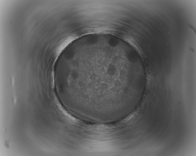 X0000103291079200809122002