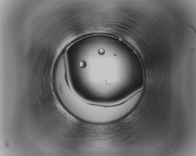 X0000103291080200809122002