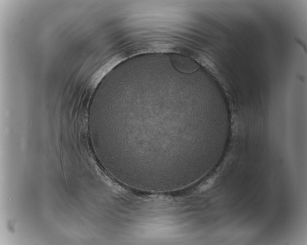 X0000103291081200809122002