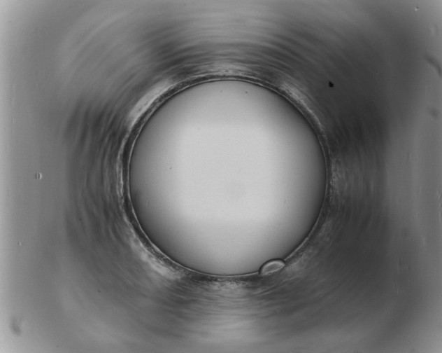 X0000103291082200809122002