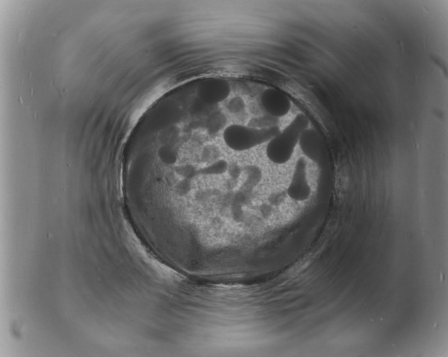 X0000103291083200809122002