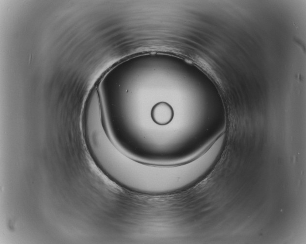 X0000103291084200809122002