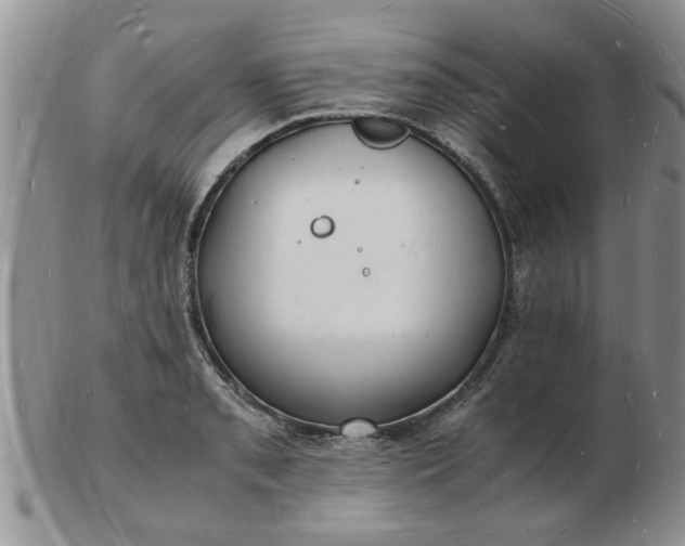 X0000103291085200809122002