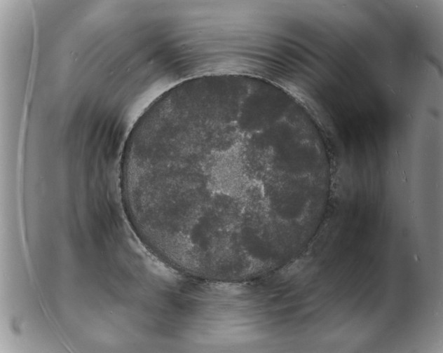 X0000103291086200809122002