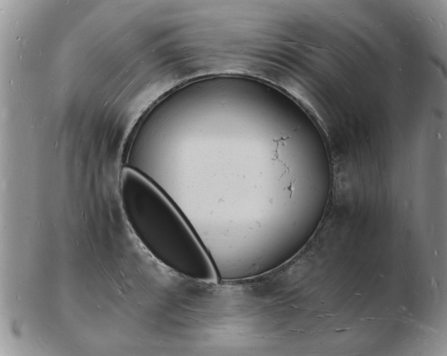 X0000103291088200809122002