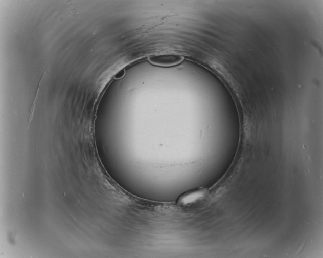 X0000103291089200809122002