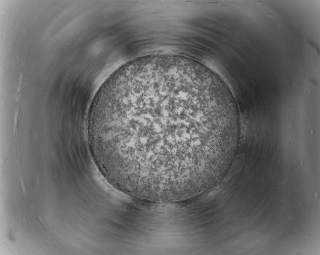 X0000103291090200809122002