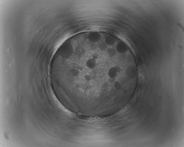 X0000103291091200809122002