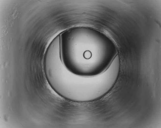 X0000103291092200809122002