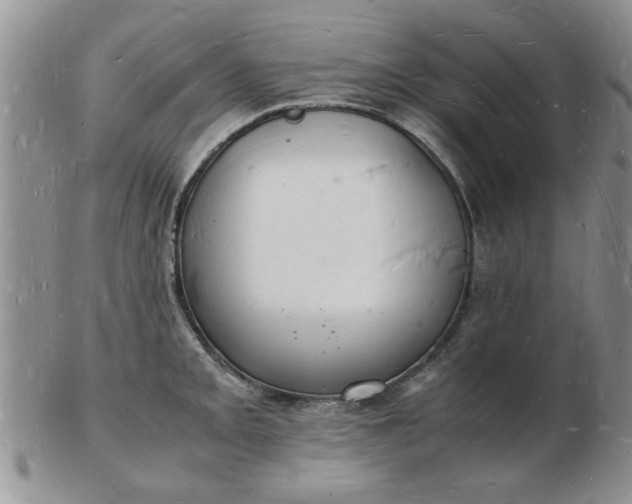 X0000103291093200809122002