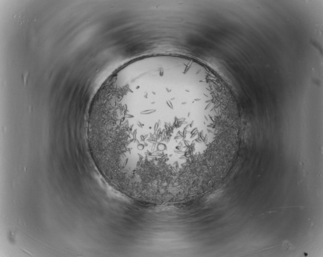 X0000103291094200809122002