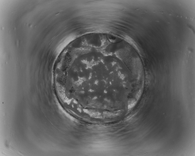 X0000103291095200809122002