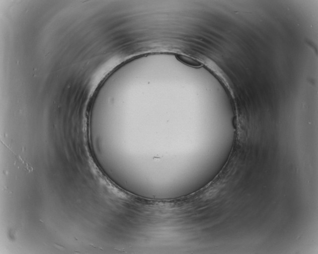 X0000103291096200809122002