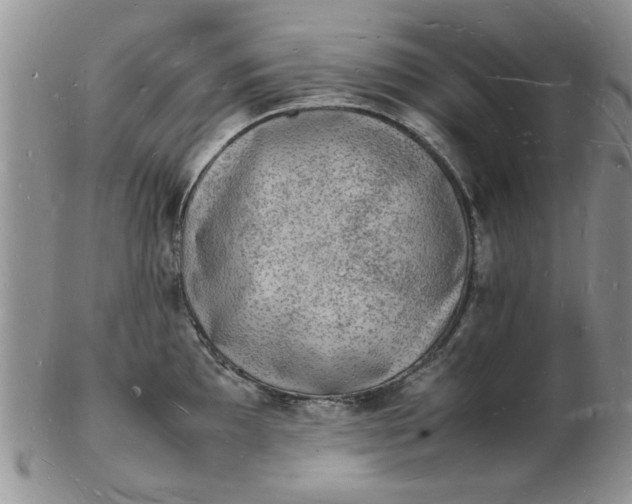 X0000103291097200809122002