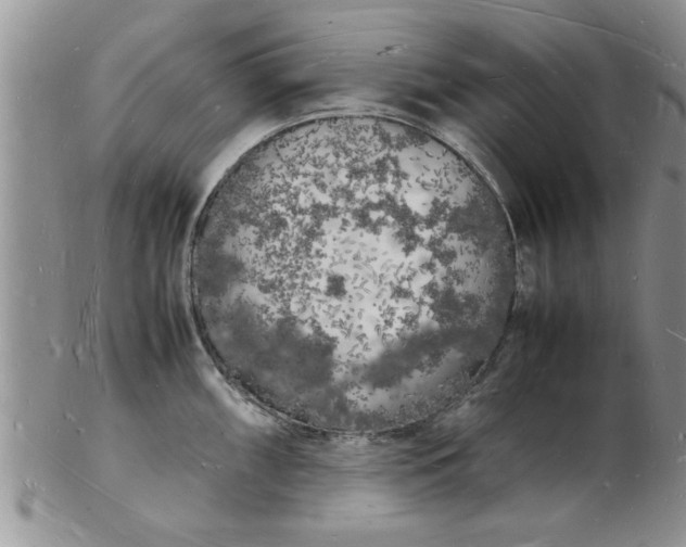 X0000103291098200809122002