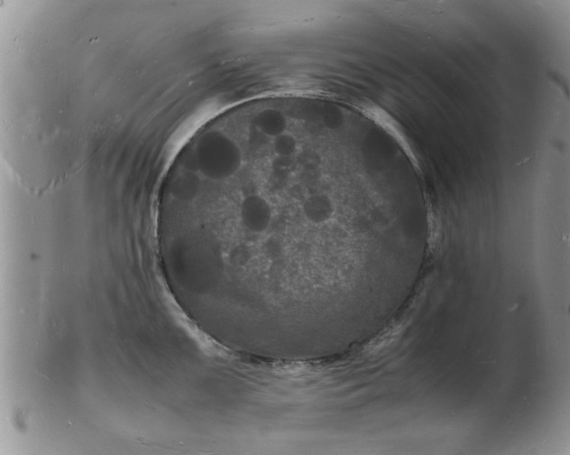 X0000103291099200809122002