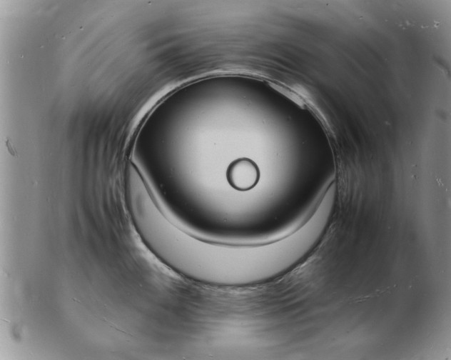 X0000103291100200809122002