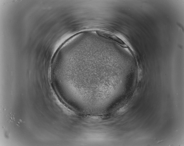 X0000103291101200809122002