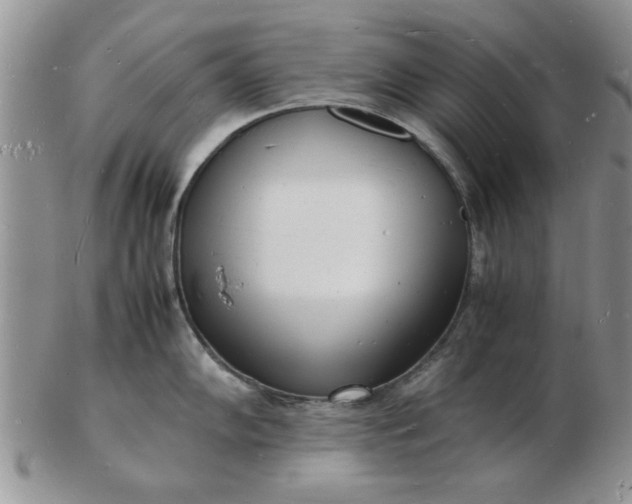 X0000103291102200809122002