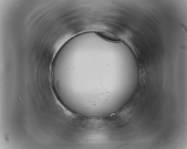 X0000103291103200809122002