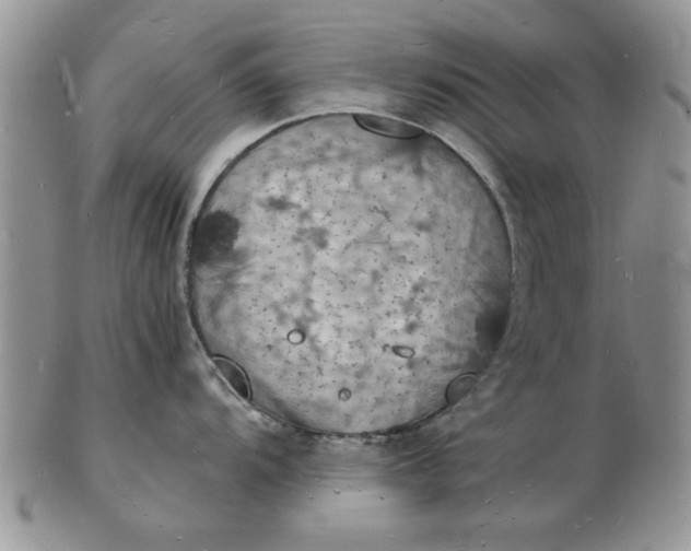 X0000103291104200809122002