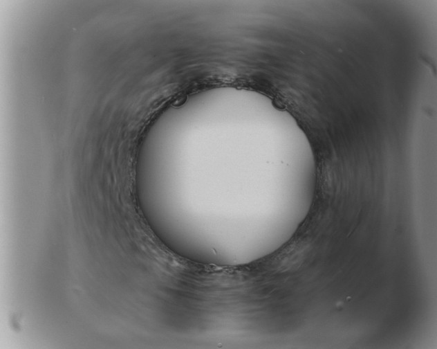 X0000103291105200809122001