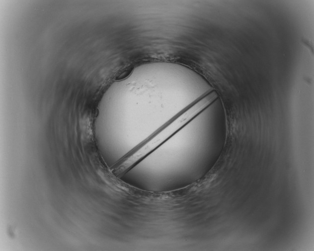 X0000103291106200809122001