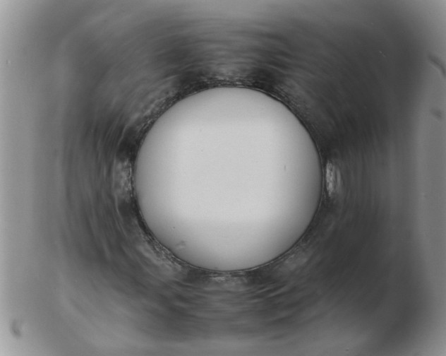 X0000103291107200809122001