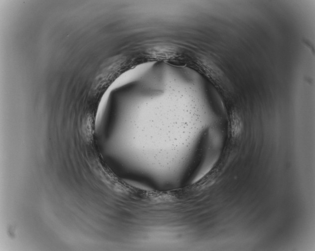 X0000103291108200809122001