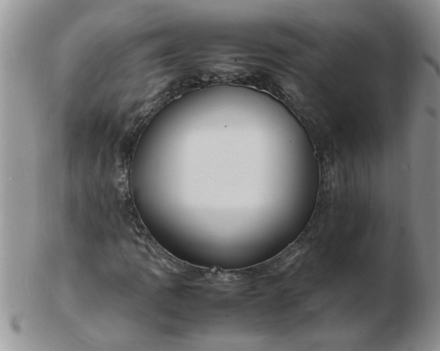 X0000103291109200809122001