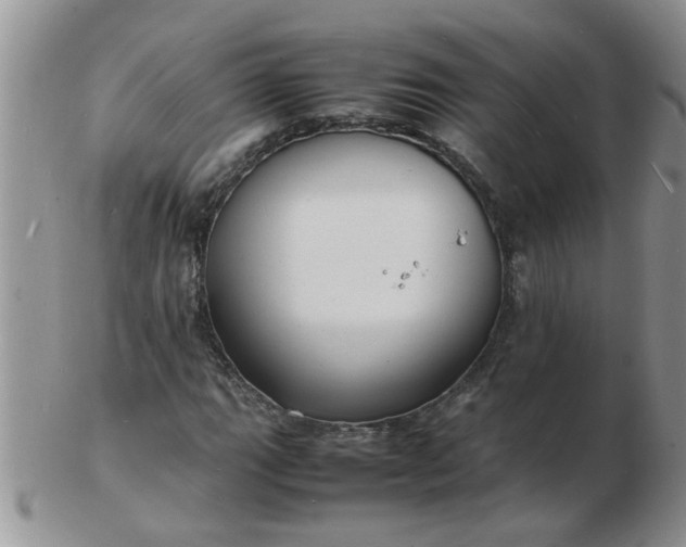 X0000103291111200809122001