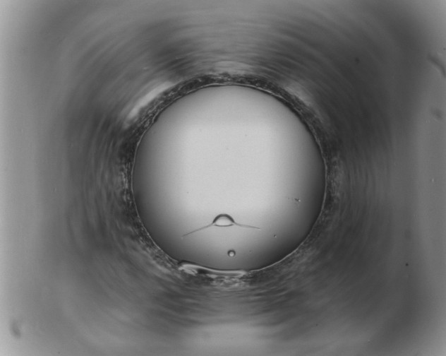 X0000103291112200809122001