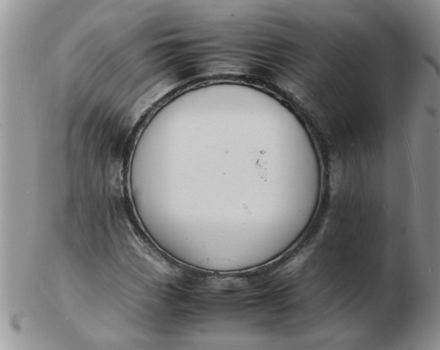 X0000103291113200809122001