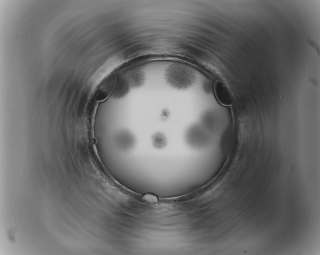 X0000103291114200809122001