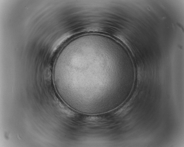 X0000103291115200809122001